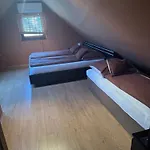 Diofa *