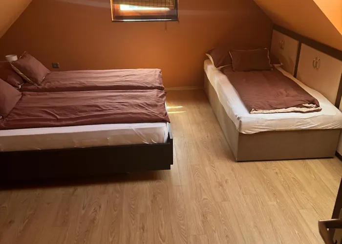 Diofa Siófok
